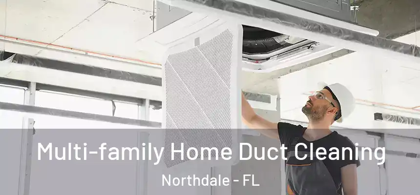 Multi-family Home Duct Cleaning Northdale - FL