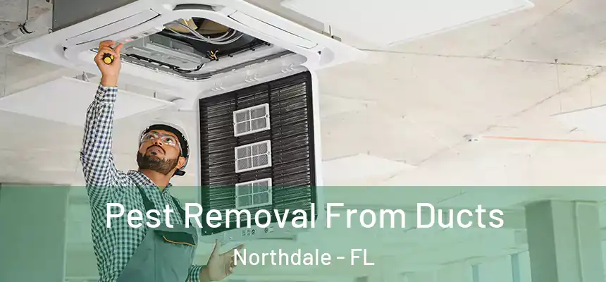 Pest Removal From Ducts Northdale - FL