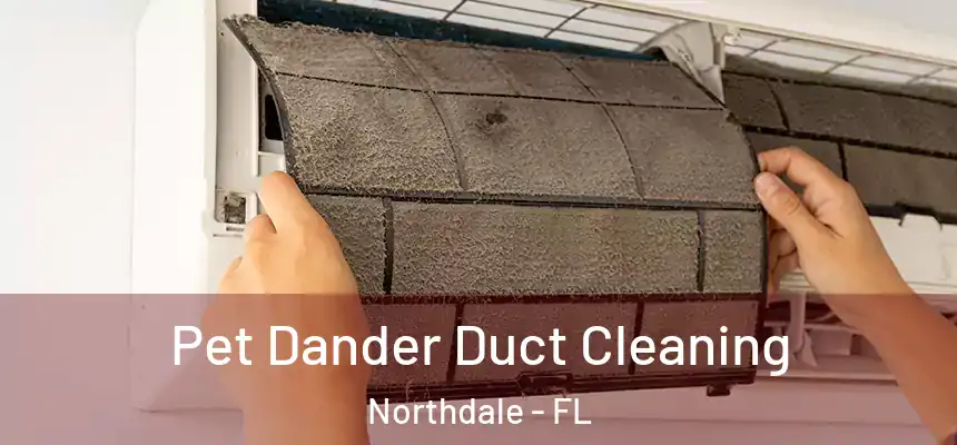 Pet Dander Duct Cleaning Northdale - FL