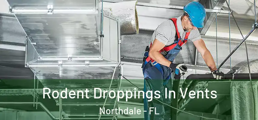 Rodent Droppings In Vents Northdale - FL