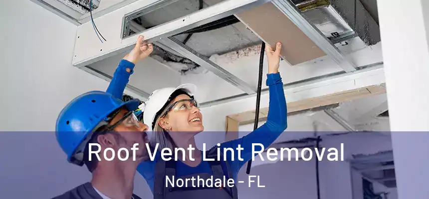 Roof Vent Lint Removal Northdale - FL