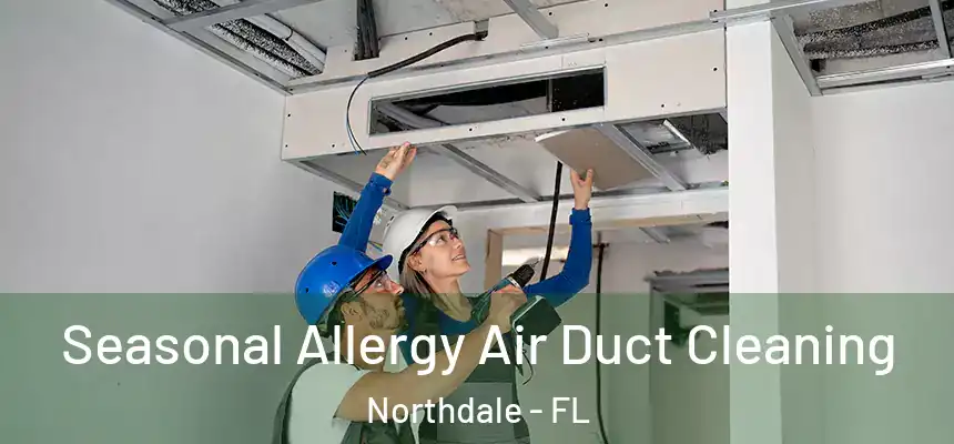 Seasonal Allergy Air Duct Cleaning Northdale - FL