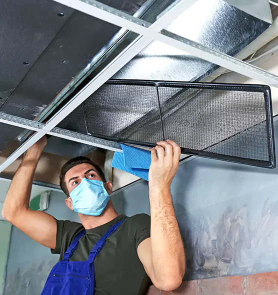 About Air Duct Bacteria Removal in Northdale