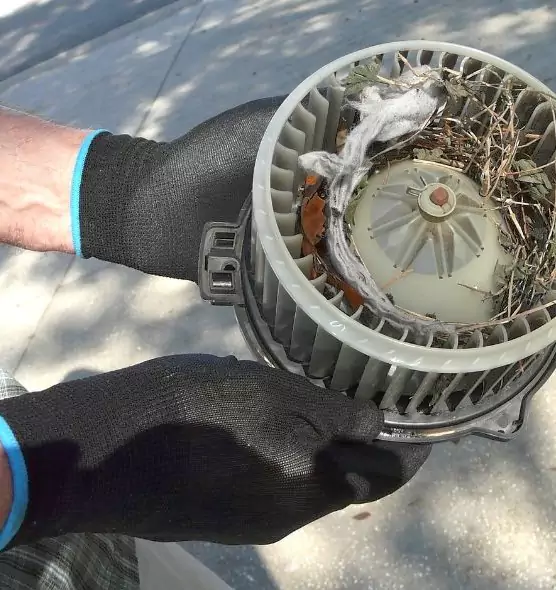 About Air Duct Rat Removal in Northdale, FL