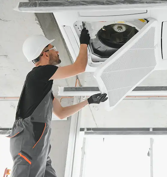 About Air Duct Rodent Removal in Northdale, FL