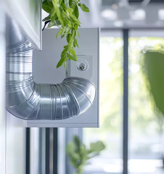 Professional Eco-Friendly Duct Cleaning Services in Northdale, FL