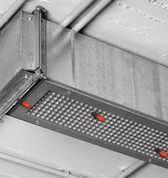 Affordable Insect Removal from Air Ducts in Northdale, FL