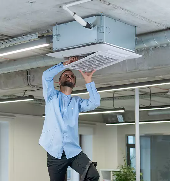 Advanced Rodent Droppings In Vents in Northdale, FL