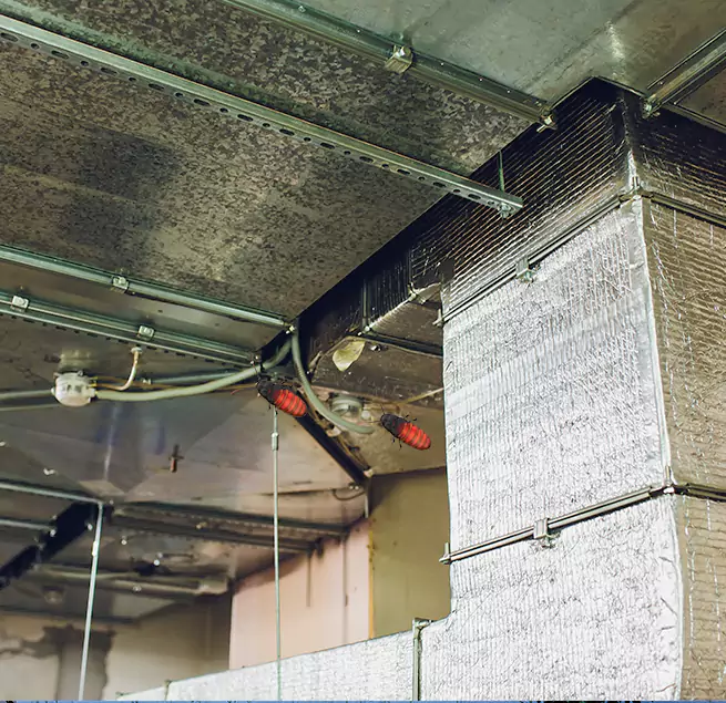 Why Homeowners & Businesses Trust Us in Northdale, FL?