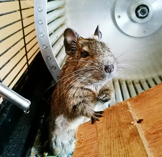 Why Homeowners & Businesses Trust Us Northdale, FL?