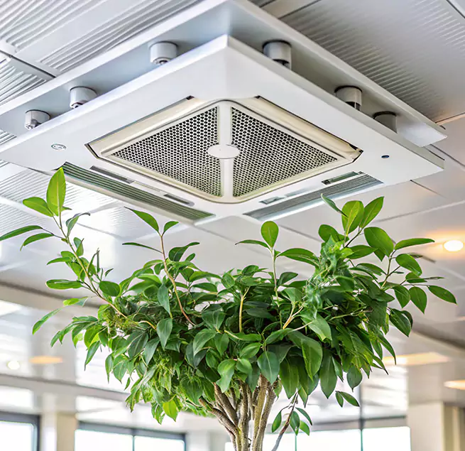 Why Homeowners & Businesses Trust Us in Northdale, FL?