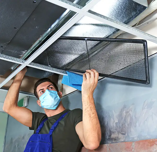 Why Homeowners & Businesses Trust Us in Northdale, FL?