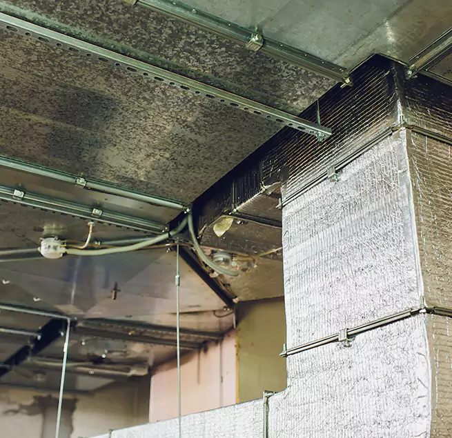 Why Homeowners & Businesses Trust Us in Northdale, FL?