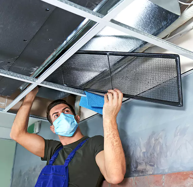 Why Homeowners Businesses Trust Us in Northdale, FL?