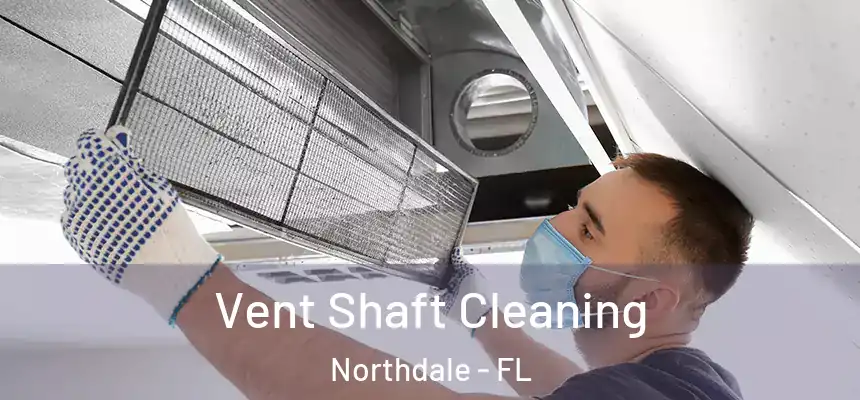 Vent Shaft Cleaning Northdale - FL
