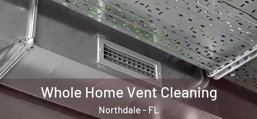 Whole Home Vent Cleaning Northdale - FL
