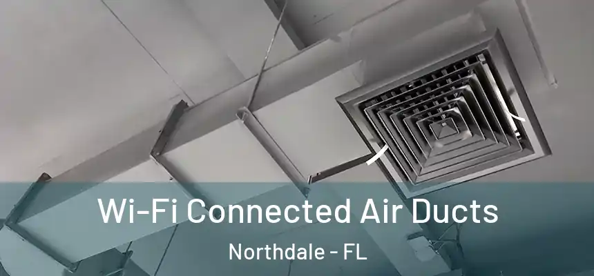 Wi-Fi Connected Air Ducts Northdale - FL